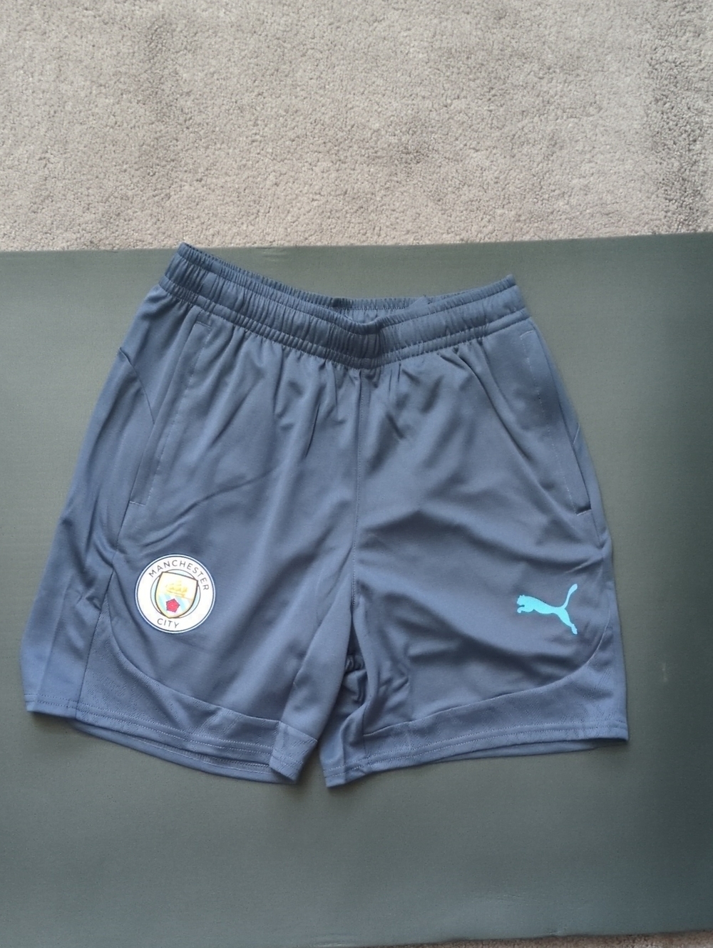 Puma Soccer Shorts
